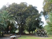 Jardines de Larios. Málaga, Andalucía